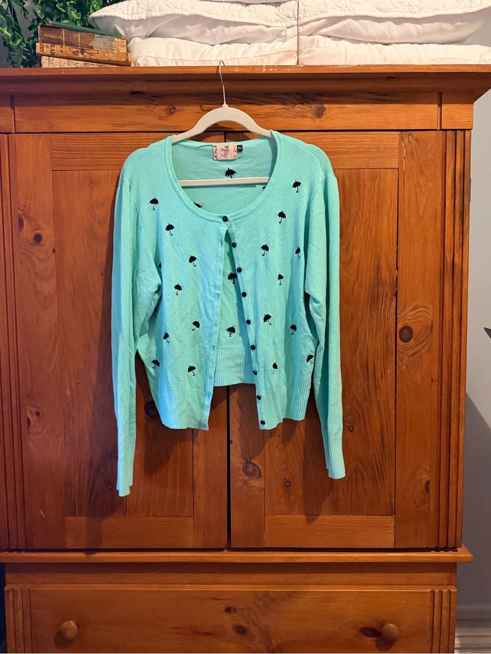 Mint Green Embroidered Button-Front Cardigan - Women